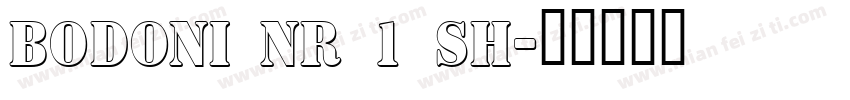 Bodoni Nr 1 SH字体转换